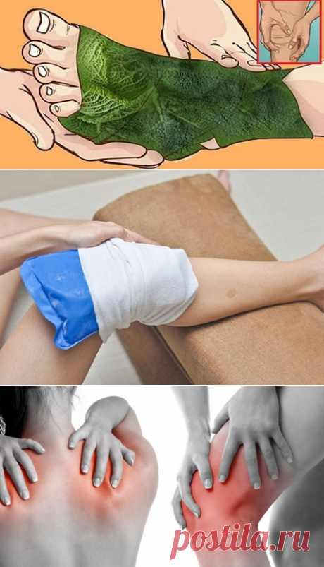 Если в доме есть капуста, боли в суставах не бывать!