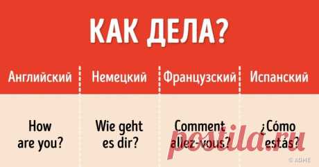 20 самых нужных фраз на пяти популярных языках Бесценная шпаргалка.
