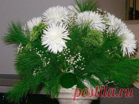 Интересные новости