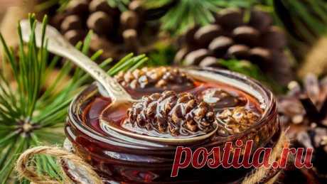 Целебные свойства варенья из сосновых шишек.Какую пользу приносит организму.
Целебные свойства сибирской сосны известны каждому человеку. Ее спектр действия довольно-таки широкий и охватывает практически все.
Используется все – хвоя, кора, шишки, орешки, смола и даж…