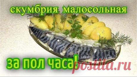 скумбрия малосольная за пол часа