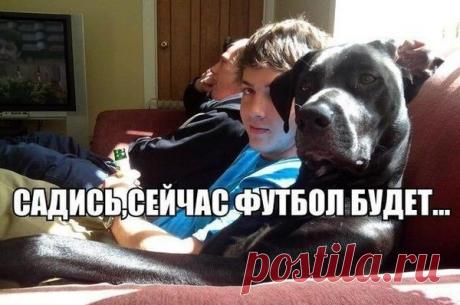 Мой Мир@Mail.Ru