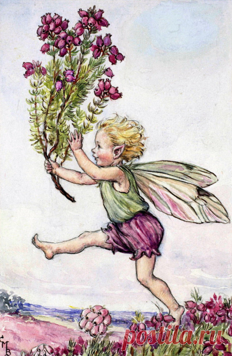 "The Heather Fairy - Flower Fairies" — card of the user Катерина В. in Yandex.Collections