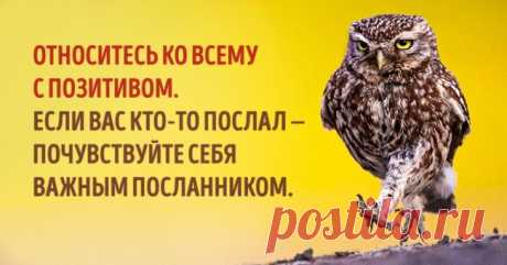7 способов изменить свое отношение к жизни