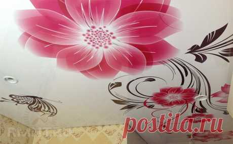 Красиво и необычно: 3D потолки / Домоседы