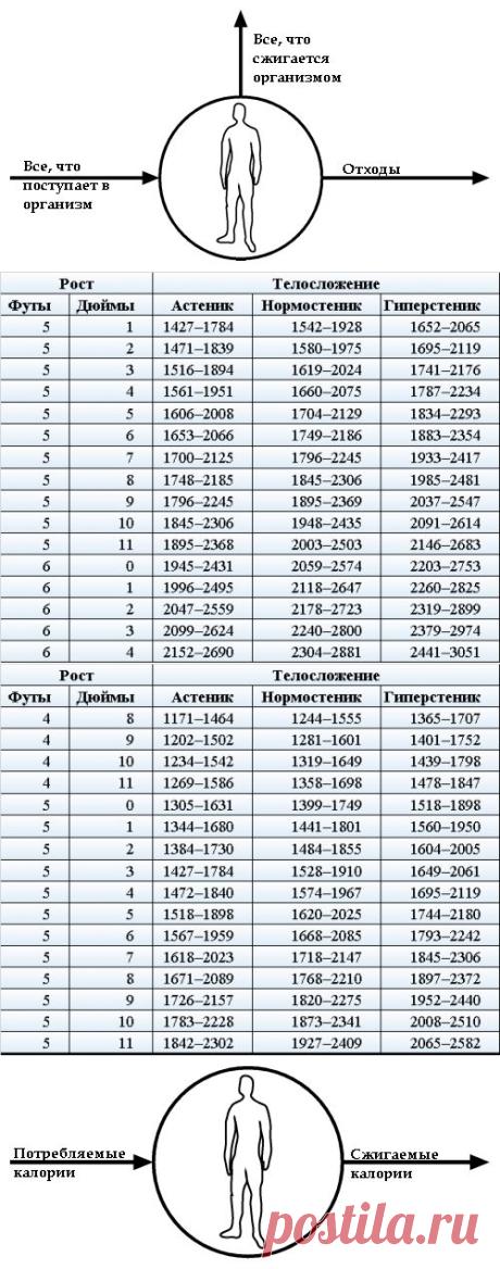 (+1) тема - Концепция похудения | Полезные советы