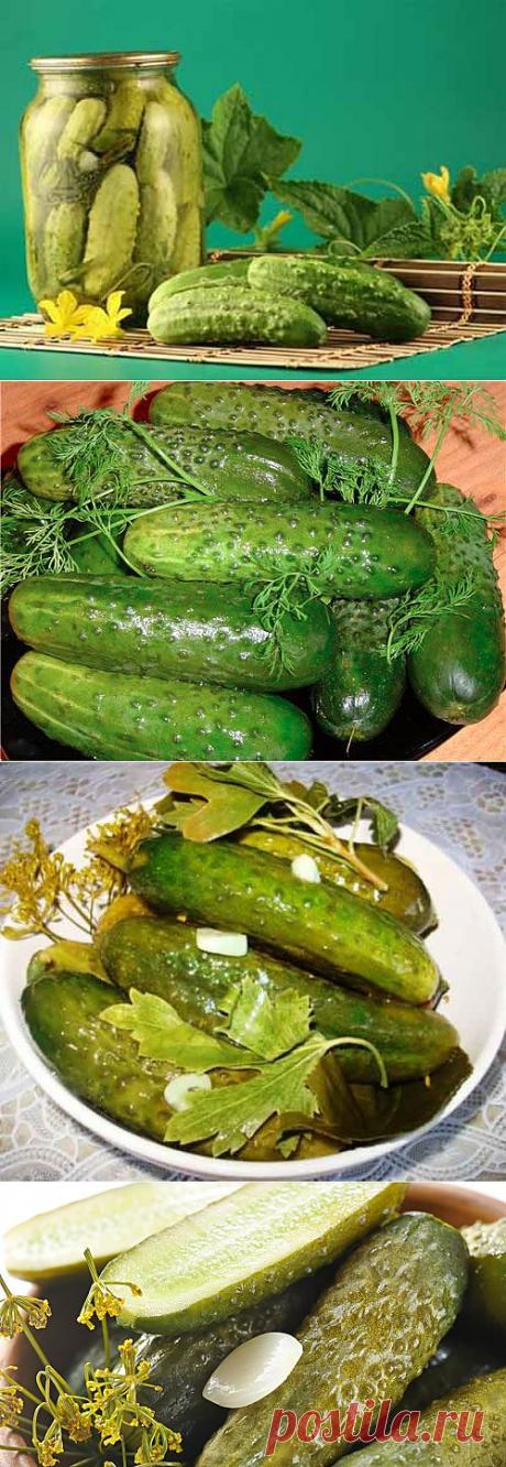 КАК ЗАГОТОВИТЬ ОГУРЦЫ! | Самые популярные и самые вкусные рецепты с видео
