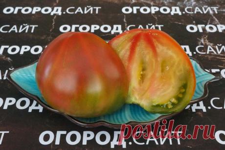 Томат Кленовое сердце (Софии Сааковой), семена | ОГОРОД.сайт