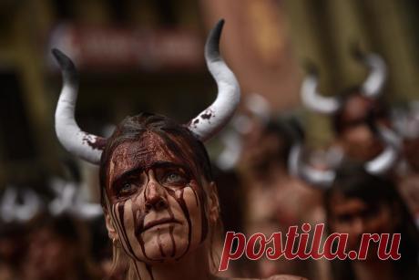 Десятки полуголых девушек устроили протест против испанского забега быков | Чёрт побери