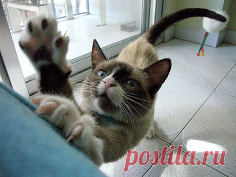 Растяжка «на ходу»: самые легкие и быстрые упражнения.