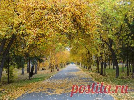 Осеннее очарование. Осень - повод подумать "здесь" и "сейчас". И конечно любить, вопреки всем законам природы. ******************************************** ...