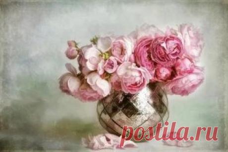 lizzy pe картины: 10 тыс изображений найдено в Яндекс.Картинках