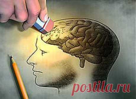 Можно ли заразиться слабоумием? | ПолонСил.ру - социальная сеть здоровья