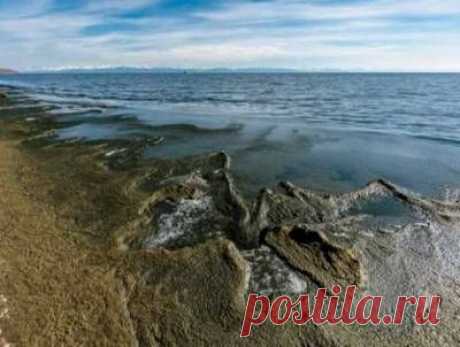 Байкал может превратиться в болото. МПР обеспокоено уже официально. А кто довёл? - 7 Ноября 2015 - Russia-Asia-Siberia