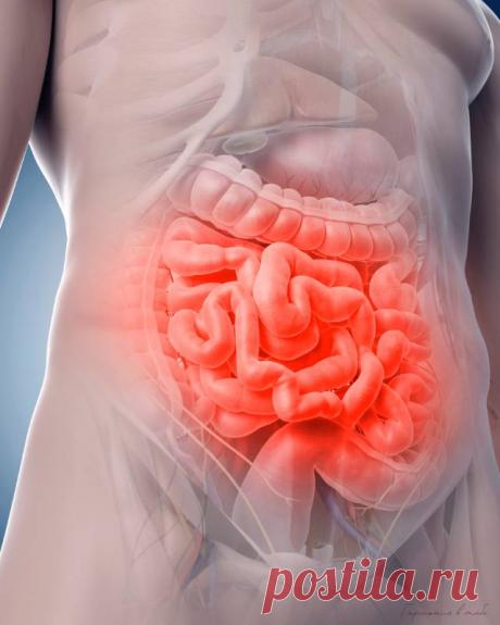 Чистим кишечник народными средствами. Генеральная уборка организма — Психология