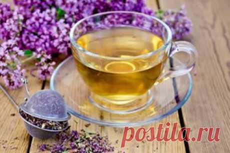 Чай для лактации: какой лучше пить для повышения, какой может понизить, мнение женщин при грудном вскармливании и отзывы кормящих мамочек