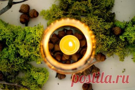 Давно хотели завести растения, которые озеленят ваш дом и будут дарить свежий воздух, но нет времени за ними ухаживать? Выход есть! Фитостены и предметы из мха не требуют ухода и подарят вам то, чего вы так долго хотели. А на roomble мы расскажем о них