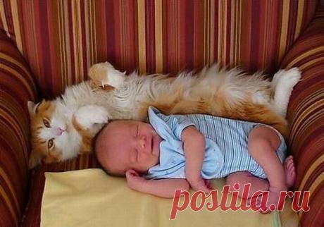 Истинна древняя пословица, что равенство создает дружбу.
Платон