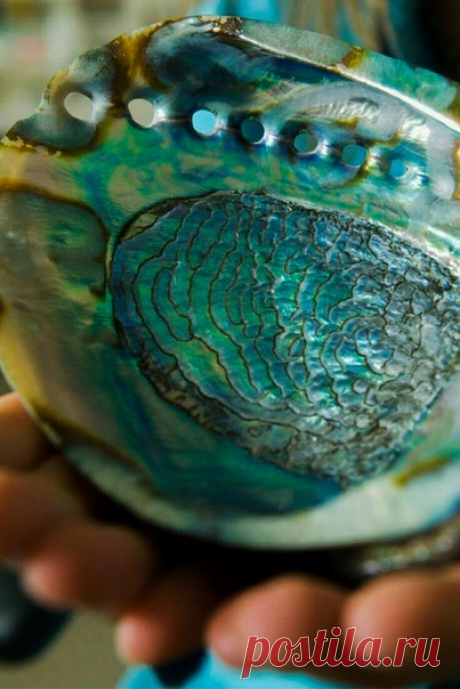 Обязательно найди время, чтобы просто порадоваться жизни... А проблемы подождут!
Олег Рой
#Творчество & #Вдохновение