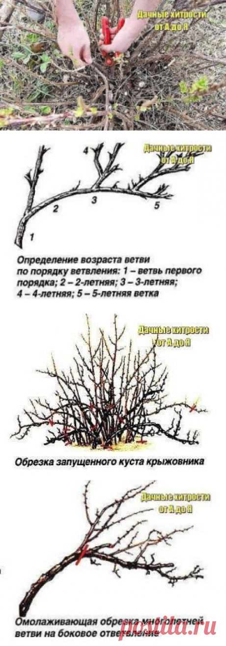 Одноклассники