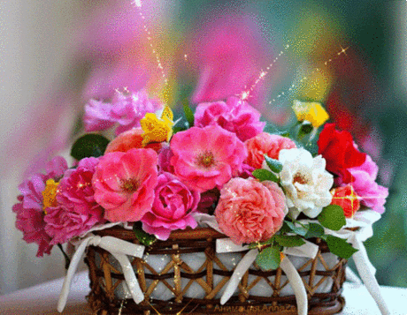 h-5720.jpg (600×466)