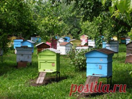 Конспект НОД по нетрадиционной технике рисования для детей младшей группы ДОУ