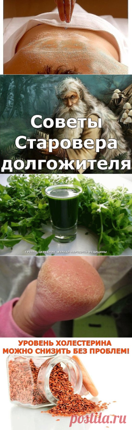(26) Одноклассники