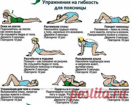 Секреты здоровья гибкость поясницы