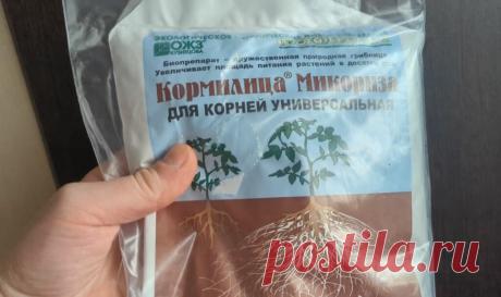 В это сложно поверить, но навоз и минеральные подкормки не применяю. Все лето поливаю растения только этим. В овощах с ног до головы. | Сад огород лайф. (Статьи) | Дзен