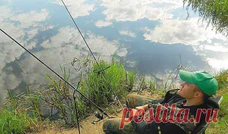 Голавль и фидер