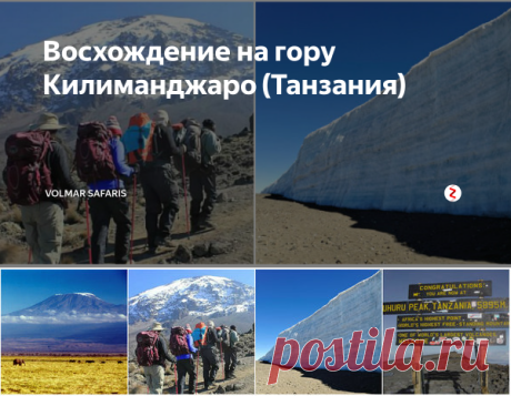 Восхождение на гору Килиманджаро (Танзания) | Volmar Safaris | Яндекс Дзен