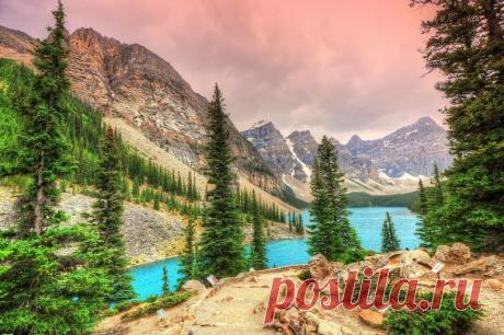 Институт Интеграции – Google+
