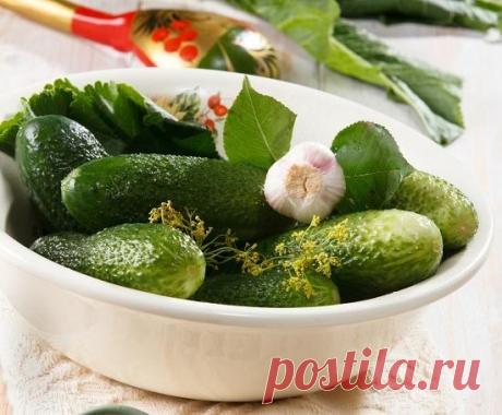 Малосольные огурцы за один день: 3 быстрых рецепта