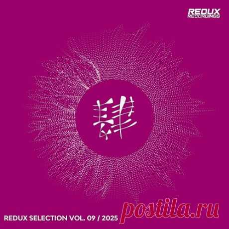 Redux Selection, Vol. 9 / 2025 free download mp3 music 320kbps