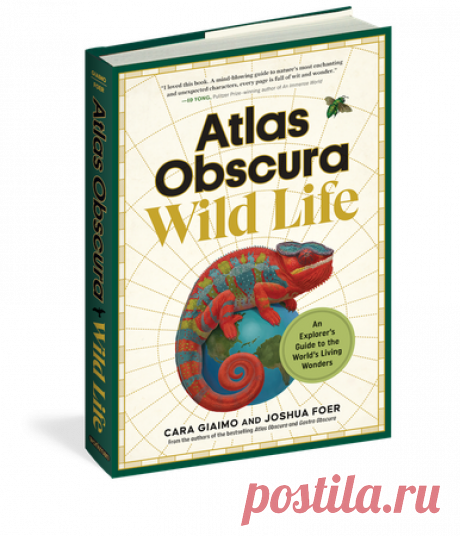 3lr3yd3lmundo's User Profile - Atlas Obscura