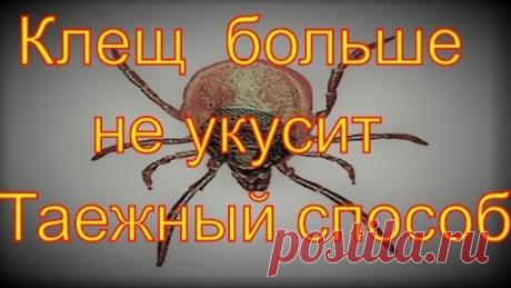 (68) Одноклассники