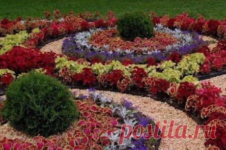 4 ГЛАВНЫХ ПРАВИЛА ОФОРМЛЕНИЯ ЦВЕТОЧНЫХ КЛУМБ