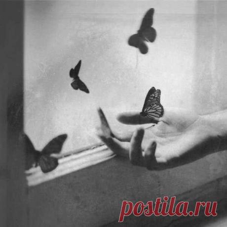 Научитесь отпускать...
Счастье всегда найдет дорогу обратно.