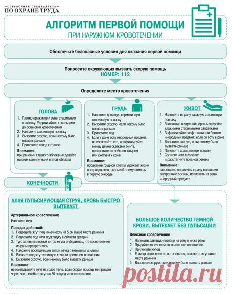 Обучение первой помощи под ключ: пошаговая инструкция, полный видеокурс и готовые алгоритмы – Справочник специалиста по охране труда № 4, апрель 2018