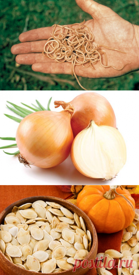 Народное средство против глистов - избавление от глистов в домашних условиях...