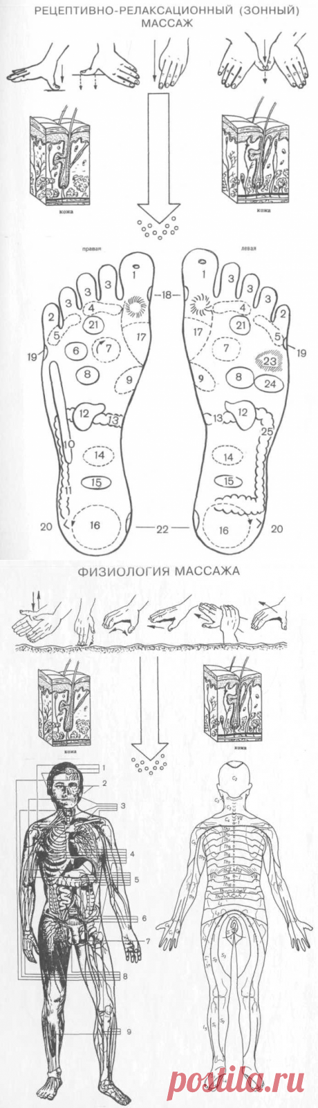 Дубровский В. И. Лечебный массаж: Учеб для студ сред, и высш учеб заведений. 3-е изд., перераб и доп