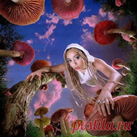 Jayda G - All Day (Jackie Hollander Extended Remix) Label Ministry of Sound Recordings Styles Dance / Pop Date 2026-05-22 Catalog # G010005800756E Length 9:46 Tracks 2 — download MP3 & FLAC 320kbps. Fresh releases on Musicvibez