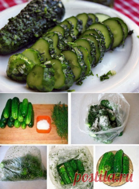 Лучшие кулинарные рецепты: Малосольные огурчики без рассола