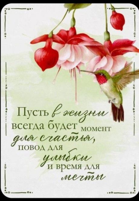 Пин на доске С днем рождения