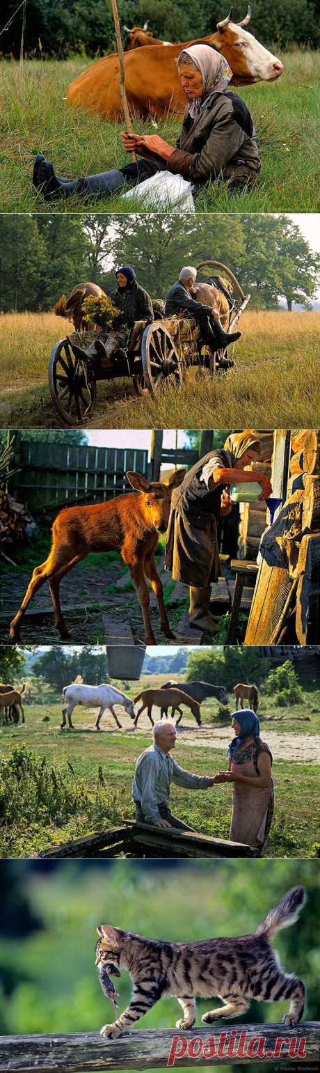 В затерянном мире | Fresher - Лучшее из Рунета за день