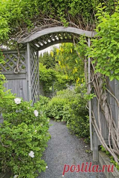 Landscaping Ideas: Backyard & Front Yard Decor (DESIGNS)