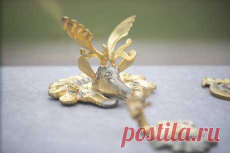 20180119202708.jpg (Изображение JPEG, 800 × 533 пикселов)