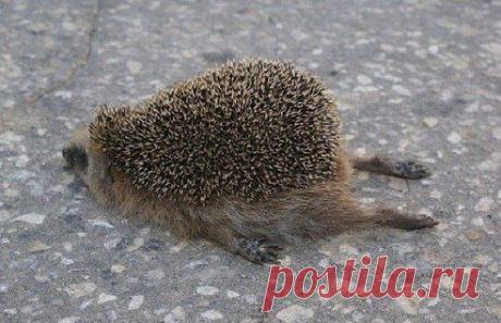 Надо самому себя подбадривать. Никто другой этого не сделает.