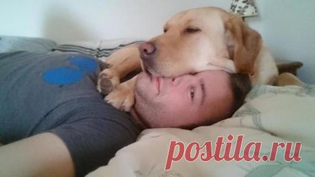 Животные, которые не знают, что такое личное пространство