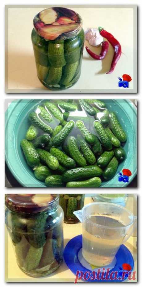 Огурцы называются маринованные потому что все закрутки с уксусом - называются маринованные, а что с солью и без уксуса - соленые. В этом рецепте я закручивала огурцы с уксусом. По вкусу они мне напомнили магазинные, а отсюда и название огурцы маринованные как магазинные. Очень простой рецепт, доступные ингредиенты.